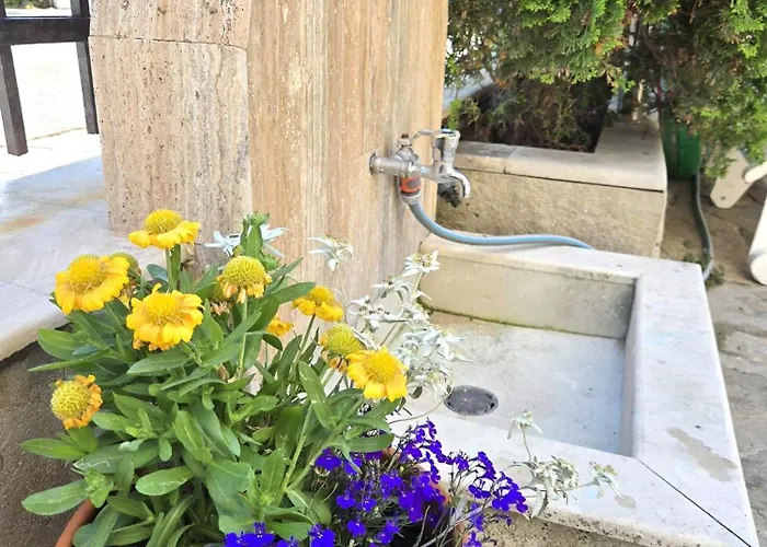 Готель Family Primo